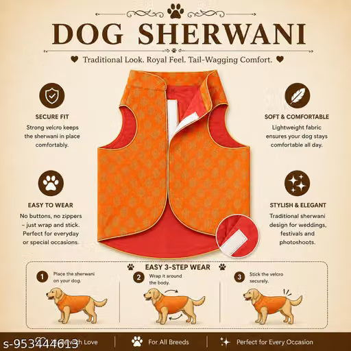 DOG SHERWANI-Saffron Orange