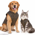 Premium Pet Sherwani | Ethnic Dog & Cat Wear | XS–XXL